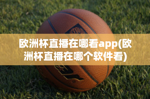 欧洲杯直播在哪看app(欧洲杯直播在哪个软件看)