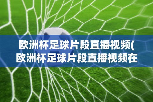 欧洲杯足球片段直播视频(欧洲杯足球片段直播视频在线观看)