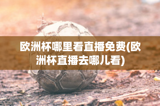 欧洲杯哪里看直播免费(欧洲杯直播去哪儿看)