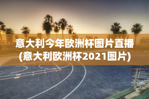 意大利今年欧洲杯图片直播(意大利欧洲杯2021图片)