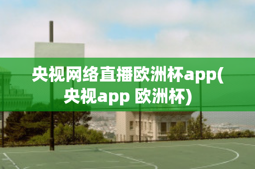 央视网络直播欧洲杯app(央视app 欧洲杯)