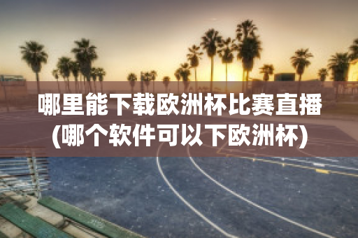 哪里能下载欧洲杯比赛直播(哪个软件可以下欧洲杯)