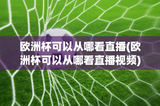 欧洲杯可以从哪看直播(欧洲杯可以从哪看直播视频)