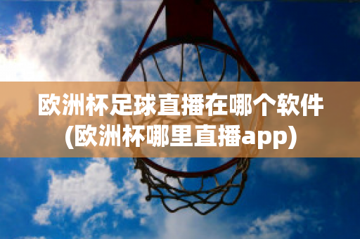 欧洲杯足球直播在哪个软件(欧洲杯哪里直播app)