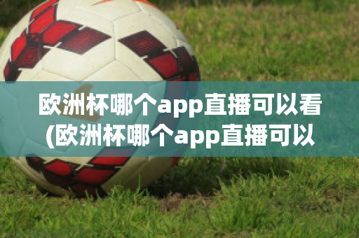 欧洲杯哪个app直播可以看(欧洲杯哪个app直播可以看到)