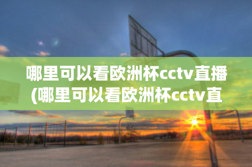 哪里可以看欧洲杯cctv直播(哪里可以看欧洲杯cctv直播)