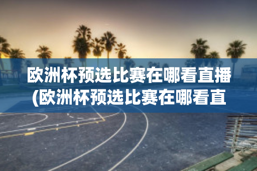 欧洲杯预选比赛在哪看直播(欧洲杯预选比赛在哪看直播回放)