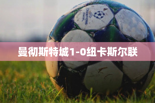 曼彻斯特城1-0纽卡斯尔联