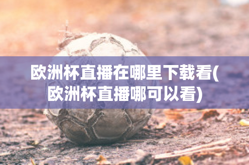 欧洲杯直播在哪里下载看(欧洲杯直播哪可以看)