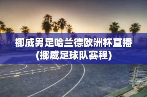 挪威男足哈兰德欧洲杯直播(挪威足球队赛程)