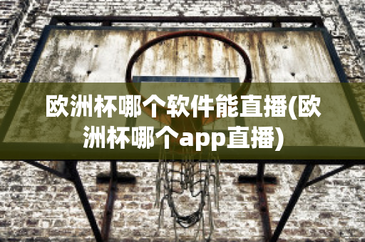 欧洲杯哪个软件能直播(欧洲杯哪个app直播)