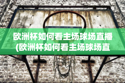 欧洲杯如何看主场球场直播(欧洲杯如何看主场球场直播回放)