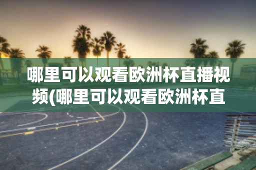 哪里可以观看欧洲杯直播视频(哪里可以观看欧洲杯直播视频回放)