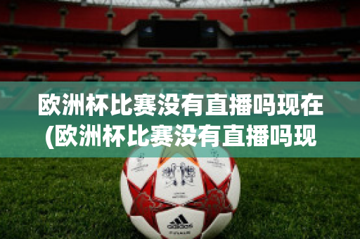 欧洲杯比赛没有直播吗现在(欧洲杯比赛没有直播吗现在几点开始)