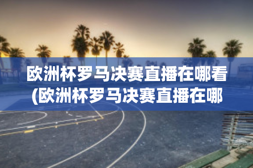 欧洲杯罗马决赛直播在哪看(欧洲杯罗马决赛直播在哪看回放)