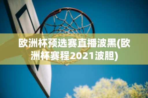 欧洲杯预选赛直播波黑(欧洲杯赛程2021波胆)