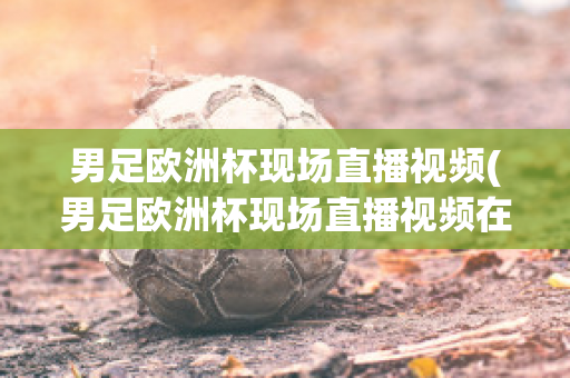 男足欧洲杯现场直播视频(男足欧洲杯现场直播视频在线观看)