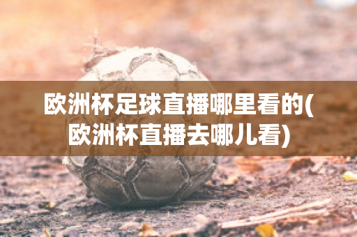 欧洲杯足球直播哪里看的(欧洲杯直播去哪儿看)