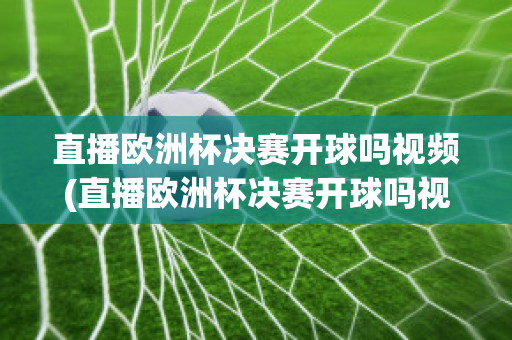 直播欧洲杯决赛开球吗视频(直播欧洲杯决赛开球吗视频在线观看)