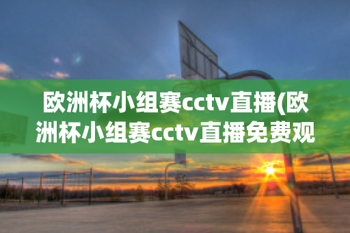 欧洲杯小组赛cctv直播(欧洲杯小组赛cctv直播免费观看)