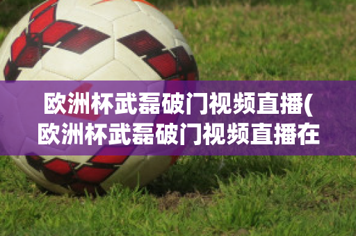 欧洲杯武磊破门视频直播(欧洲杯武磊破门视频直播在线观看)