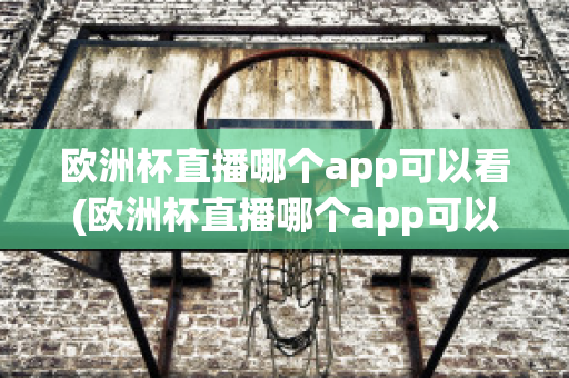 欧洲杯直播哪个app可以看(欧洲杯直播哪个app可以看到)