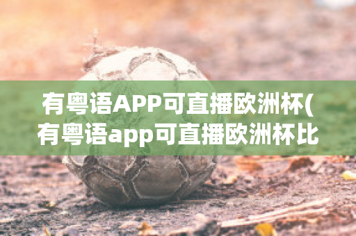 有粤语APP可直播欧洲杯(有粤语app可直播欧洲杯比赛吗)