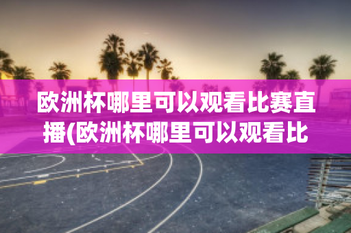 欧洲杯哪里可以观看比赛直播(欧洲杯哪里可以观看比赛直播回放)