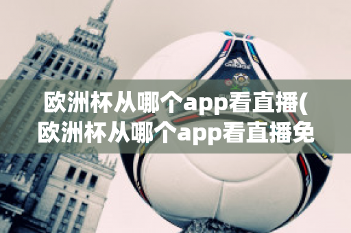 欧洲杯从哪个app看直播(欧洲杯从哪个app看直播免费)