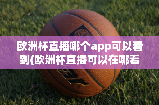 欧洲杯直播哪个app可以看到(欧洲杯直播可以在哪看)