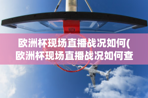 欧洲杯现场直播战况如何(欧洲杯现场直播战况如何查看)