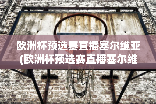 欧洲杯预选赛直播塞尔维亚(欧洲杯预选赛直播塞尔维亚比赛结果)