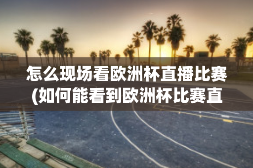 怎么现场看欧洲杯直播比赛(如何能看到欧洲杯比赛直播)