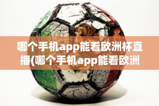 哪个手机app能看欧洲杯直播(哪个手机app能看欧洲杯直播视频)