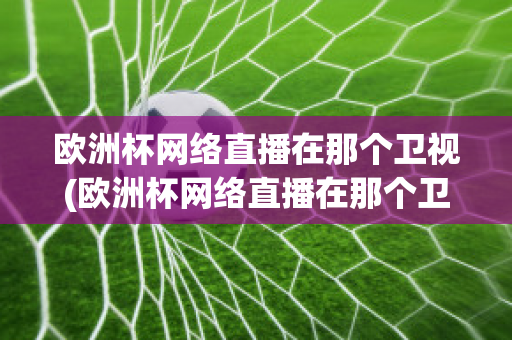 欧洲杯网络直播在那个卫视(欧洲杯网络直播在那个卫视看)