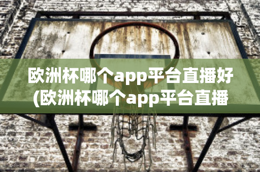 欧洲杯哪个app平台直播好(欧洲杯哪个app平台直播好看)