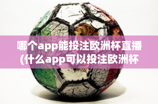 哪个app能投注欧洲杯直播(什么app可以投注欧洲杯)