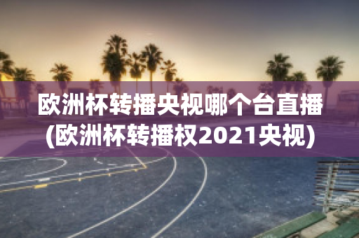 欧洲杯转播央视哪个台直播(欧洲杯转播权2021央视)