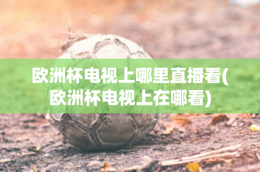 欧洲杯电视上哪里直播看(欧洲杯电视上在哪看)