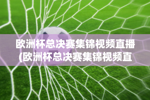 欧洲杯总决赛集锦视频直播(欧洲杯总决赛集锦视频直播在线观看)