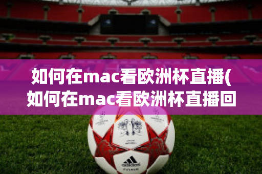 如何在mac看欧洲杯直播(如何在mac看欧洲杯直播回放)