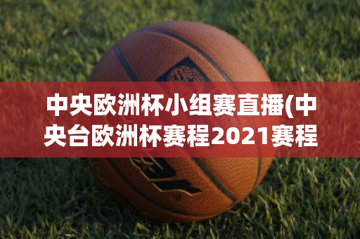 中央欧洲杯小组赛直播(中央台欧洲杯赛程2021赛程表)