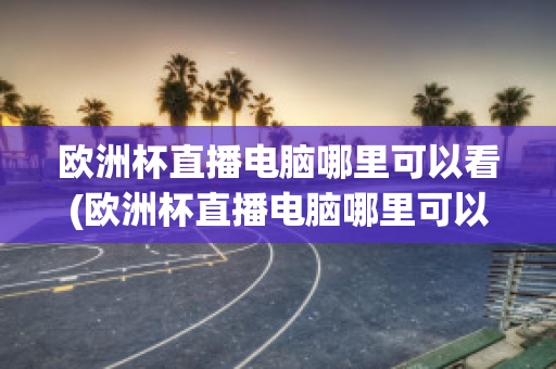 欧洲杯直播电脑哪里可以看(欧洲杯直播电脑哪里可以看啊)