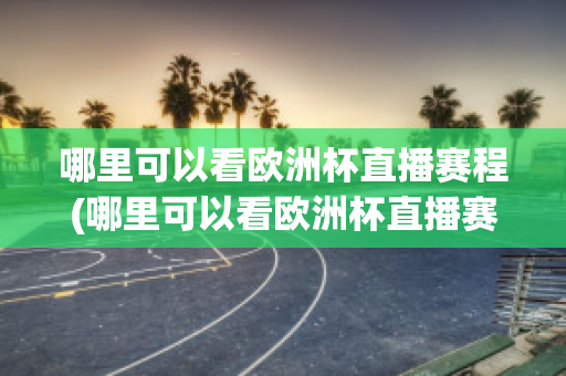 哪里可以看欧洲杯直播赛程(哪里可以看欧洲杯直播赛程回放)