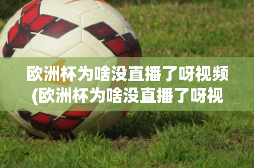 欧洲杯为啥没直播了呀视频(欧洲杯为啥没直播了呀视频在线观看)