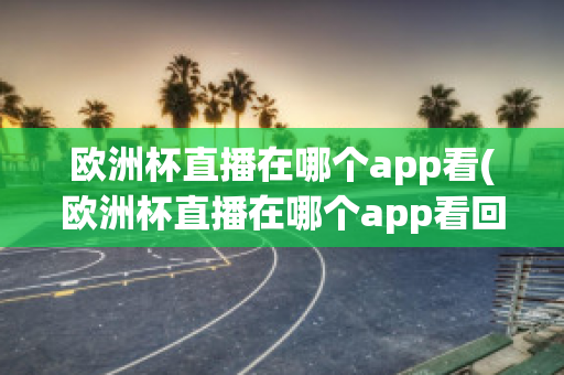 欧洲杯直播在哪个app看(欧洲杯直播在哪个app看回放)