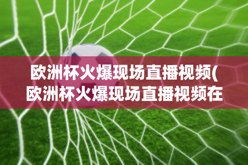 欧洲杯火爆现场直播视频(欧洲杯火爆现场直播视频在线观看)