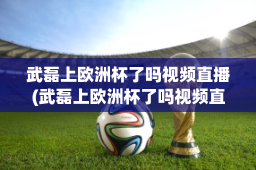 武磊上欧洲杯了吗视频直播(武磊上欧洲杯了吗视频直播在线观看)