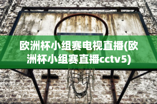 欧洲杯小组赛电视直播(欧洲杯小组赛直播cctv5)