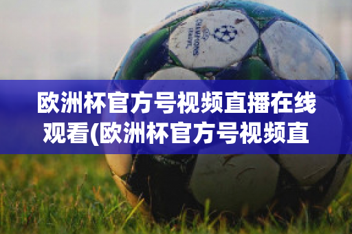 欧洲杯官方号视频直播在线观看(欧洲杯官方号视频直播在线观看下载)